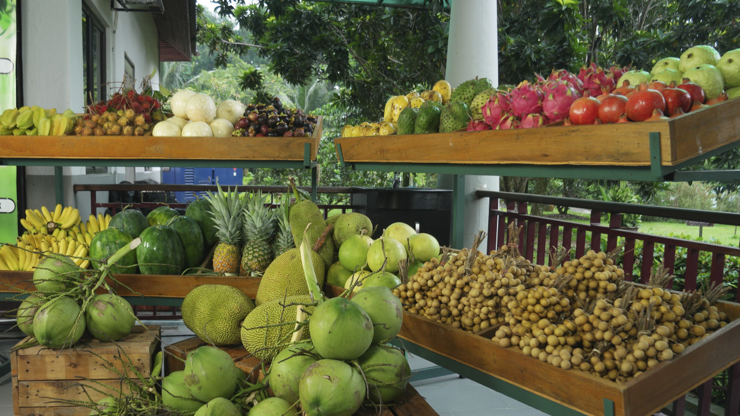 Selangor Fruits Valley_123schools (3)
