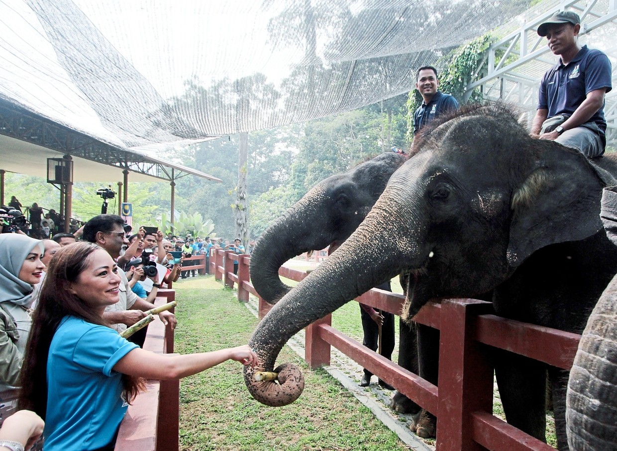 The National Elephant Conservation Centre (NECC)_123schools (2)