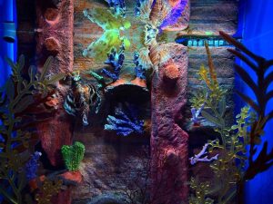 AQUARIA KLCC